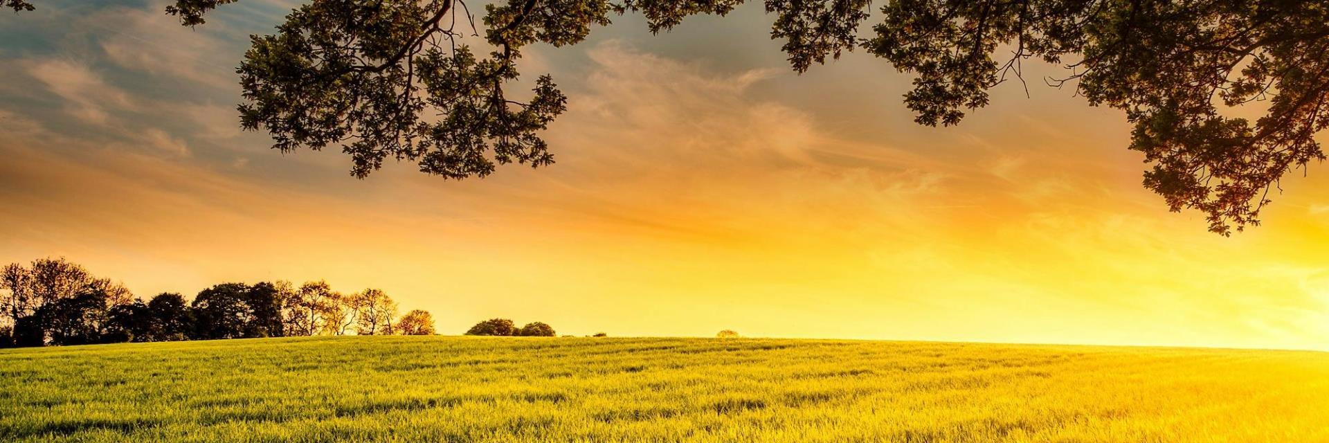 Åpen slette ved soloppgang