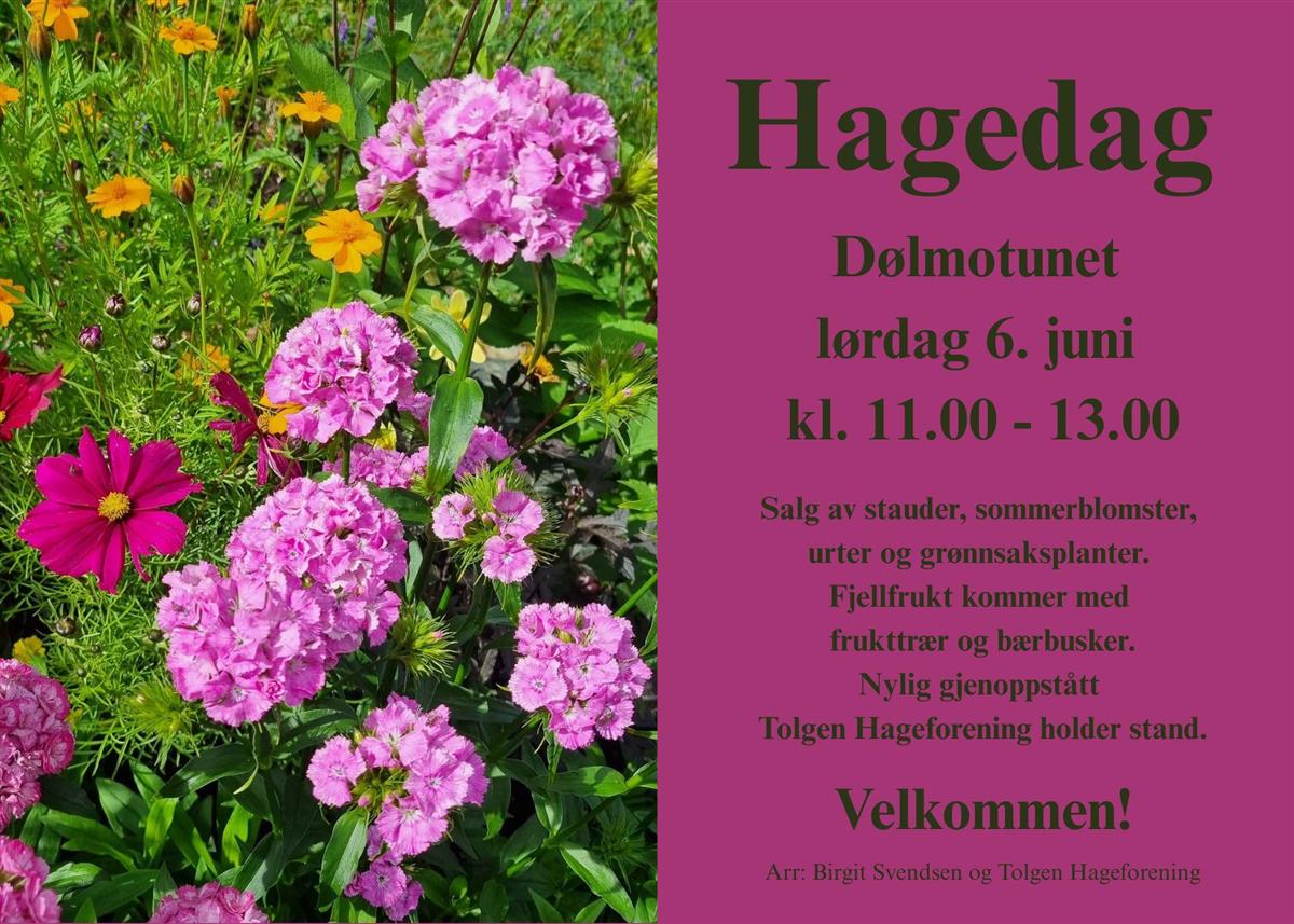 Birgit Svendsen og Tolgen Hageforening og ønsker velkommen til Hagedag med plantesalg på Dølmotunet lørdag 6. juni kl. 11.00-13.00 Det blir salg av stauder, sommerblomster, urter og grønnsaksplanter. Fjellfrukt kommer med frukttrær og bærbusker. Nylige gjenoppståtte Tolgen Hageforening holder stand.