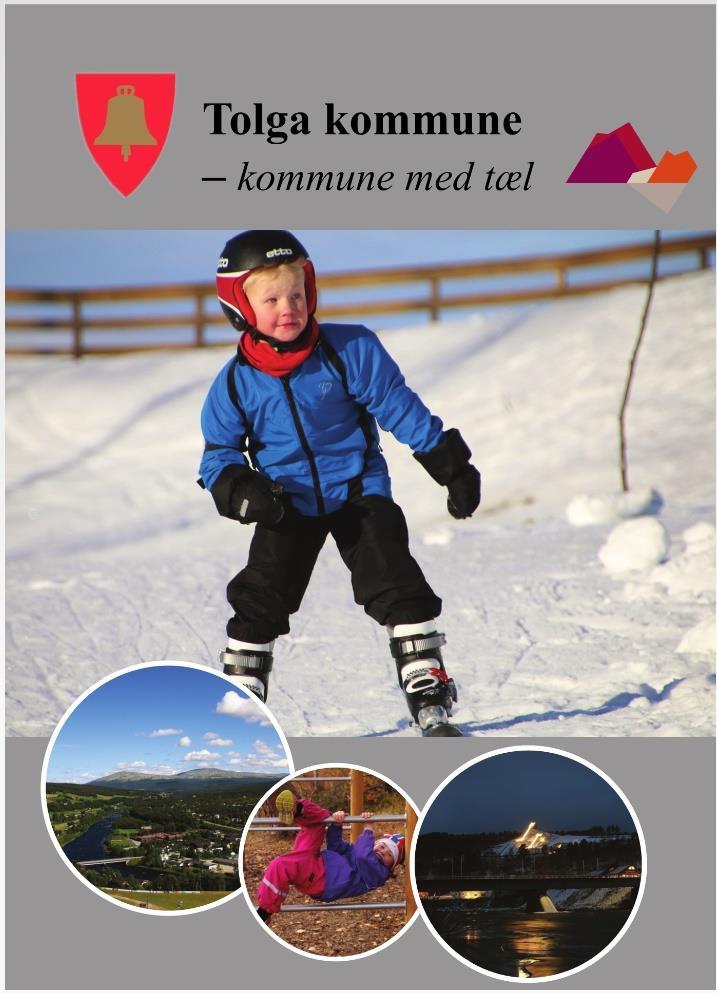 Ny I Tolga Hovedportal